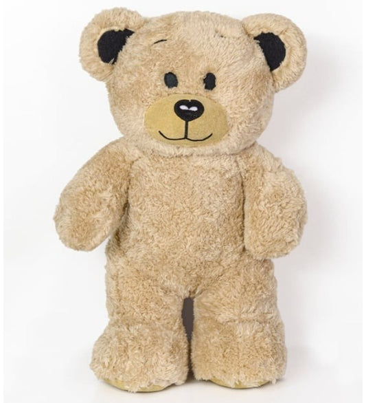 Davut Teddy